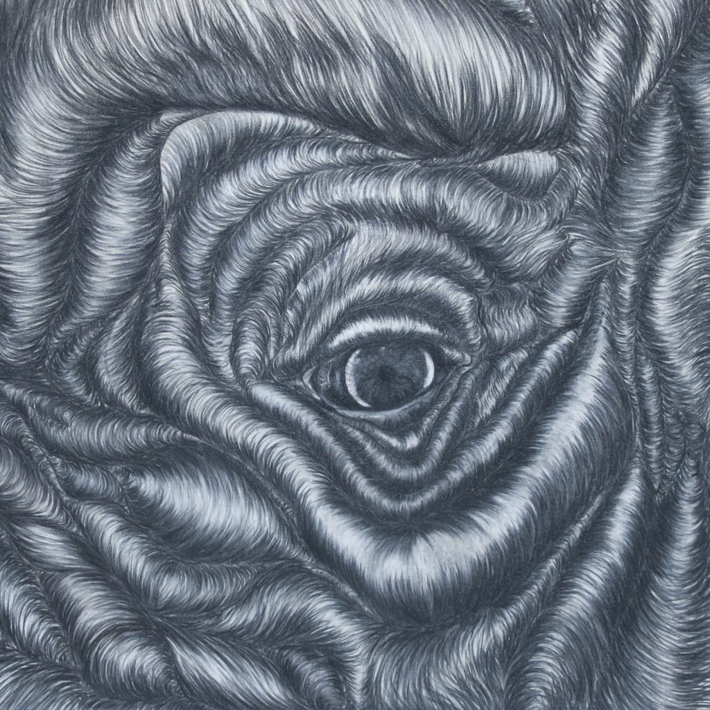 Oeuvre de Thibaut Dapoigny