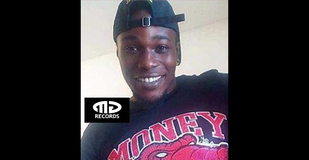 2spee-ce-producteur-de-lombre